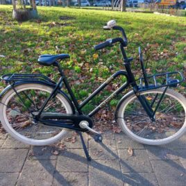 Batavus Quip 50 cm transportfiets